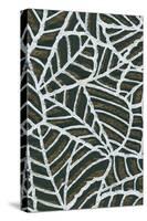 Reticulated Leaf Patterns-Found Image Press-Stretched Canvas