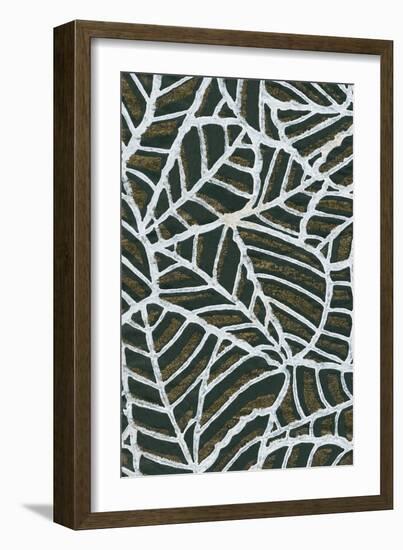 Reticulated Leaf Patterns-Found Image Press-Framed Giclee Print