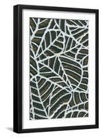 Reticulated Leaf Patterns-Found Image Press-Framed Giclee Print