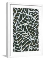 Reticulated Leaf Patterns-Found Image Press-Framed Giclee Print