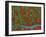 Retina Blood Vessels And Nerve Cells-Thomas Deerinck-Framed Photographic Print