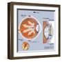 Retina of Eye with Glaucoma-null-Framed Art Print