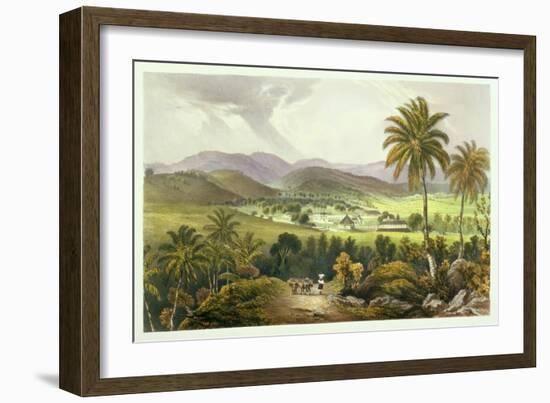 Retirement Estate, St. James's, Plate 13 from 'West Indian Scenery: Illustrations of Jamaica',…-Joseph Bartholomew Kidd-Framed Giclee Print