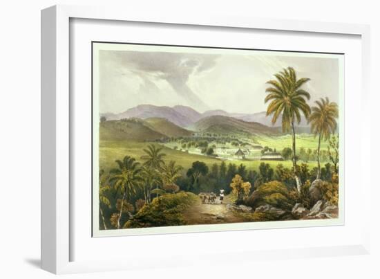 Retirement Estate, St. James's, Plate 13 from 'West Indian Scenery: Illustrations of Jamaica',…-Joseph Bartholomew Kidd-Framed Giclee Print