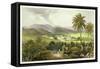 Retirement Estate, St. James's, Plate 13 from 'West Indian Scenery: Illustrations of Jamaica',…-Joseph Bartholomew Kidd-Framed Stretched Canvas