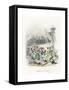 Retour Des Fleurs-J^J^ Grandville-Framed Stretched Canvas