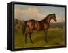 Retreat, Winner of the Doncaster Cup-W.H. Hopkins-Framed Stretched Canvas