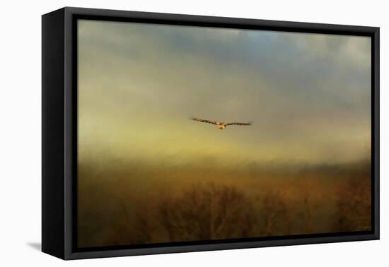 Retreating Redtail-Jai Johnson-Framed Stretched Canvas