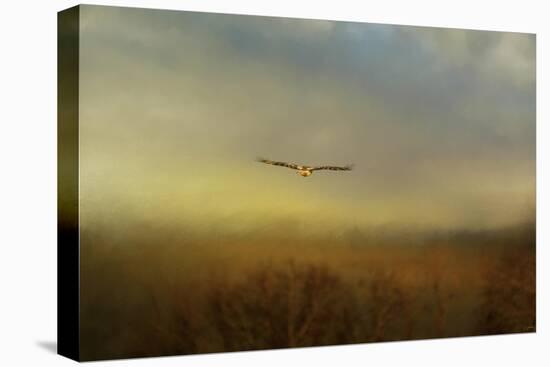Retreating Redtail-Jai Johnson-Stretched Canvas