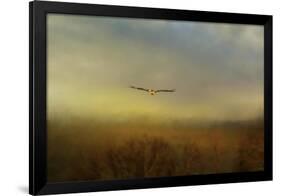 Retreating Redtail-Jai Johnson-Framed Giclee Print