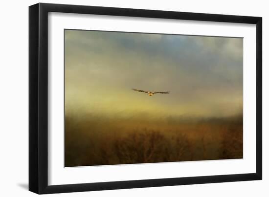 Retreating Redtail-Jai Johnson-Framed Giclee Print