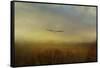 Retreating Redtail-Jai Johnson-Framed Stretched Canvas
