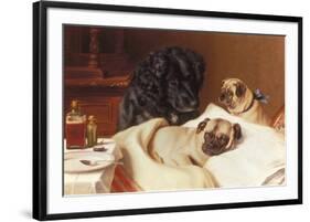 Retriever and Two Pugs-Horatio Henry Couldery-Framed Premium Giclee Print