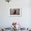 Retriever - Chocolate Labrador 003-Bob Langrish-Framed Photographic Print displayed on a wall