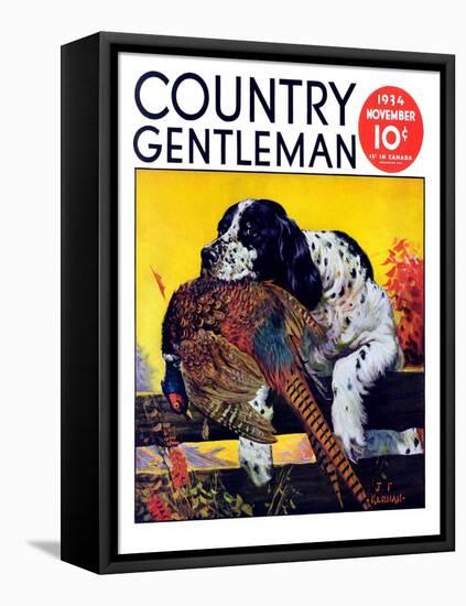 "Retriever with Pheasant," Country Gentleman Cover, November 1, 1934-J.F. Kernan-Framed Stretched Canvas