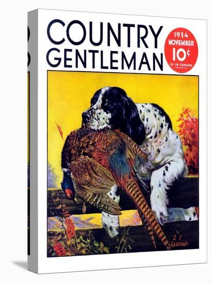 "Retriever with Pheasant," Country Gentleman Cover, November 1, 1934-J.F. Kernan-Stretched Canvas