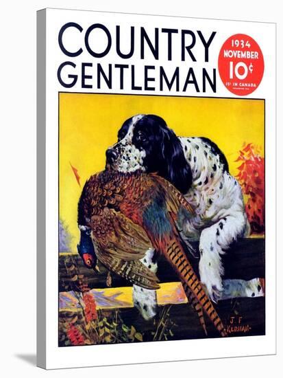 "Retriever with Pheasant," Country Gentleman Cover, November 1, 1934-J.F. Kernan-Stretched Canvas