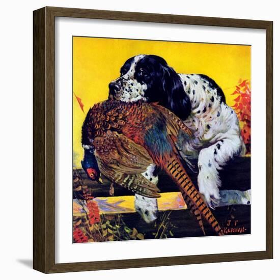 "Retriever with Pheasant,"November 1, 1934-J.F. Kernan-Framed Giclee Print