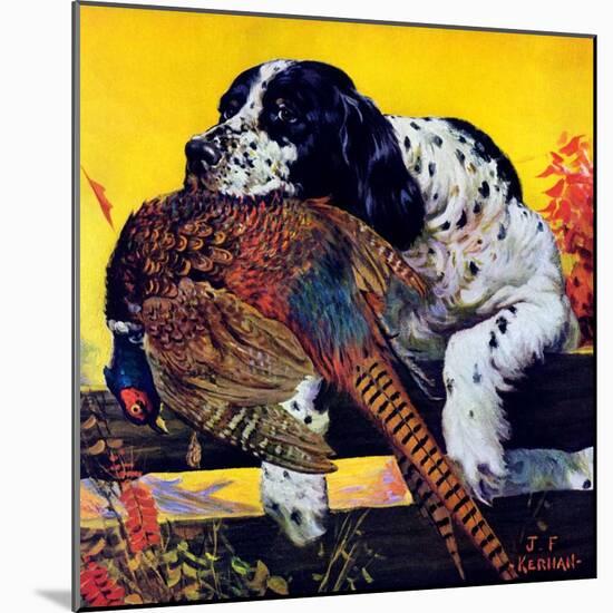 "Retriever with Pheasant,"November 1, 1934-J.F. Kernan-Mounted Giclee Print