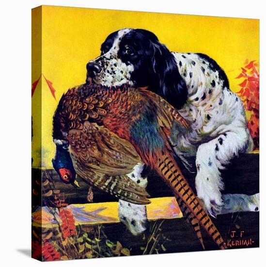 "Retriever with Pheasant,"November 1, 1934-J.F. Kernan-Stretched Canvas