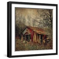 Retro Americana Farm Building-Salvatore Elia-Framed Photographic Print