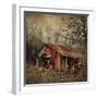 Retro Americana Farm Building-Salvatore Elia-Framed Photographic Print