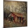 Retro Americana Farm Building-Salvatore Elia-Mounted Photographic Print