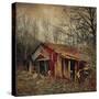 Retro Americana Farm Building-Salvatore Elia-Stretched Canvas