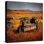 Retro Americana Farming Machinery-Salvatore Elia-Stretched Canvas