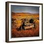 Retro Americana Farming Machinery-Salvatore Elia-Framed Photographic Print