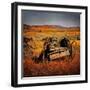 Retro Americana Farming Machinery-Salvatore Elia-Framed Photographic Print