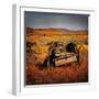 Retro Americana Farming Machinery-Salvatore Elia-Framed Photographic Print