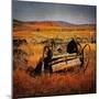 Retro Americana Farming Machinery-Salvatore Elia-Mounted Photographic Print