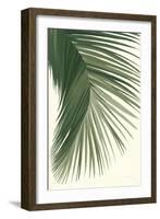 Retro Big Leaf II Green-Danhui Nai-Framed Art Print