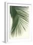 Retro Big Leaf II Green-Danhui Nai-Framed Art Print