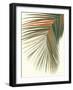 Retro Big Leaf II Reversed-Danhui Nai-Framed Art Print