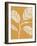 Retro Botanical Sketches IV Crop-Anne Tavoletti-Framed Art Print