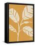 Retro Botanical Sketches IV Crop-Anne Tavoletti-Framed Stretched Canvas