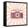 Retro Camera, Vintage Design, Vector Illustration-nexusby-Framed Stretched Canvas