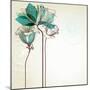 Retro Floral Background-Danussa-Mounted Art Print