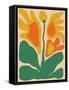 Retro Flower Print III-Dariia Khotenko-Framed Stretched Canvas