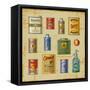 Retro Grocery Set-Oleg Iatsun-Framed Stretched Canvas