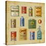 Retro Grocery Set-Oleg Iatsun-Stretched Canvas