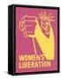 Retro history print features the sentiment underlying Women's Liberation Movement.-Vernon Lewis Gallery-Framed Stretched Canvas