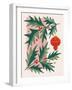 Retro Holiday IV-Janelle Penner-Framed Art Print