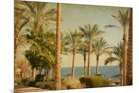 Retro Image Of Beach With Date Palms Amid The Blue Sea And Sky. Paper Texture-A_nella-Mounted Art Print