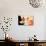 Retro Lifestyle XXXV-Fernando Palma-Giclee Print displayed on a wall