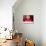 Retro Lifestyle XXXVI-Fernando Palma-Stretched Canvas displayed on a wall