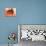 Retro Lifestyle XXXVII-Fernando Palma-Giclee Print displayed on a wall