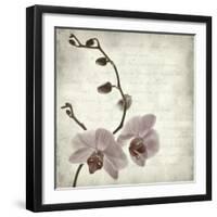 Retro Orchid-null-Framed Art Print